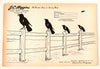 Vintage J.C. Higgins Rail Bird Target No. 12 Paper Shooting Target, 9 x 6 inches (c.1940s) - thirdshift