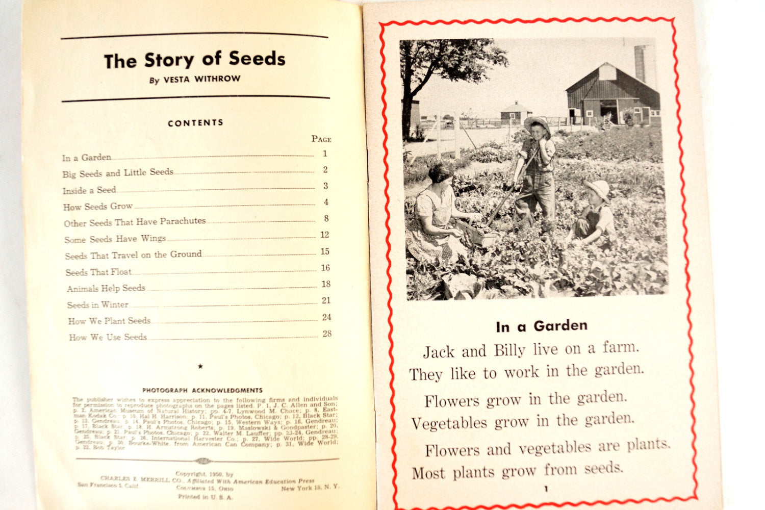 we plant a seed book Vintage "The Story of Seeds" Little Wonder Book No. 104 (c.1949) – ThirdShiftVintage.com