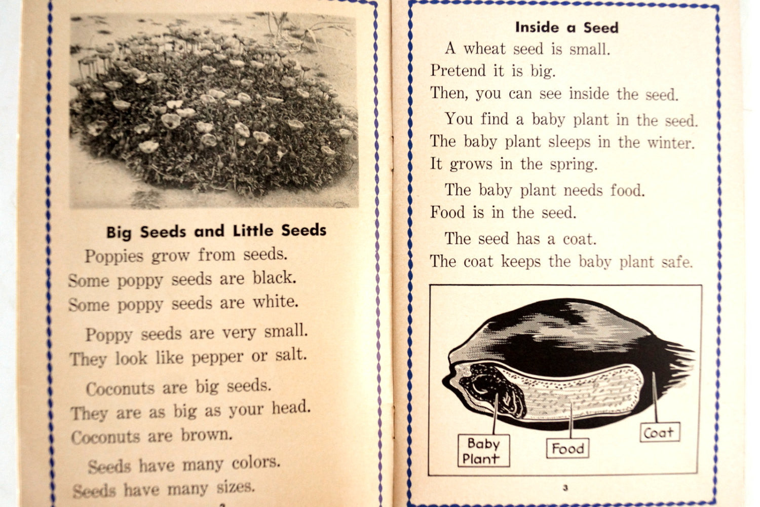 story about planting seeds Vintage "The Story of Seeds" Little Wonder Book No. 104 (c.1949) – ThirdShiftVintage.com