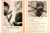 Vintage "The Story of Seeds" Little Wonder Book No. 104 (c.1949) - thirdshift