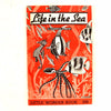 Vintage "Life in the Sea" Little Wonder Book No. 209 (c.1951) - thirdshift