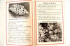 Vintage "Life in the Sea" Little Wonder Book No. 209 (c.1951) - thirdshift