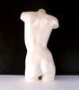 Vintage Female Torso Mannequin, Life Size (c.1970s) - thirdshift
