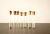 Vintage / Antique Heirloom Garden Seeds in Glass Vials, Set of 7 (c.1910s) N2 - thirdshift