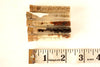 Vintage / Antique Heirloom Garden Seeds in Glass Vials, Set of 5 (c.1910s) N4 - thirdshift