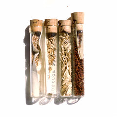 Vintage / Antique Heirloom Garden Seeds in Glass Vials, Set of 4 (c.1910s) N6 - thirdshift