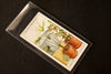 Vintage "Household Hints" Cigarette Card #36 "Keeping Plants Watered While Away" (c.1936) - thirdshift