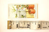 Vintage "Household Hints" Cigarette Card #36 "Keeping Plants Watered While Away" (c.1936) - thirdshift