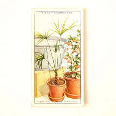 Vintage "Household Hints" Cigarette Card #36 "Keeping Plants Watered While Away" (c.1936) - thirdshift