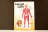 Vintage 3D Human Body Chart, Nervous System, Human Nerve Anatomy (c.1980s) - thirdshift