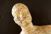 Vintage Male Acupuncture Model / Medical Model, 19-1/2" tall (c.1970s) N1 - thirdshift