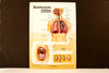 Vintage 3D Human Body Chart, Respiratory System, Human Anatomy (c.1980s) - thirdshift
